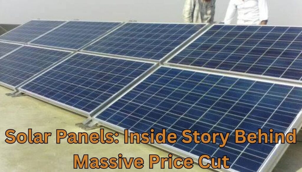 Solar Panels Inside Story Behind Massive Price Cut
